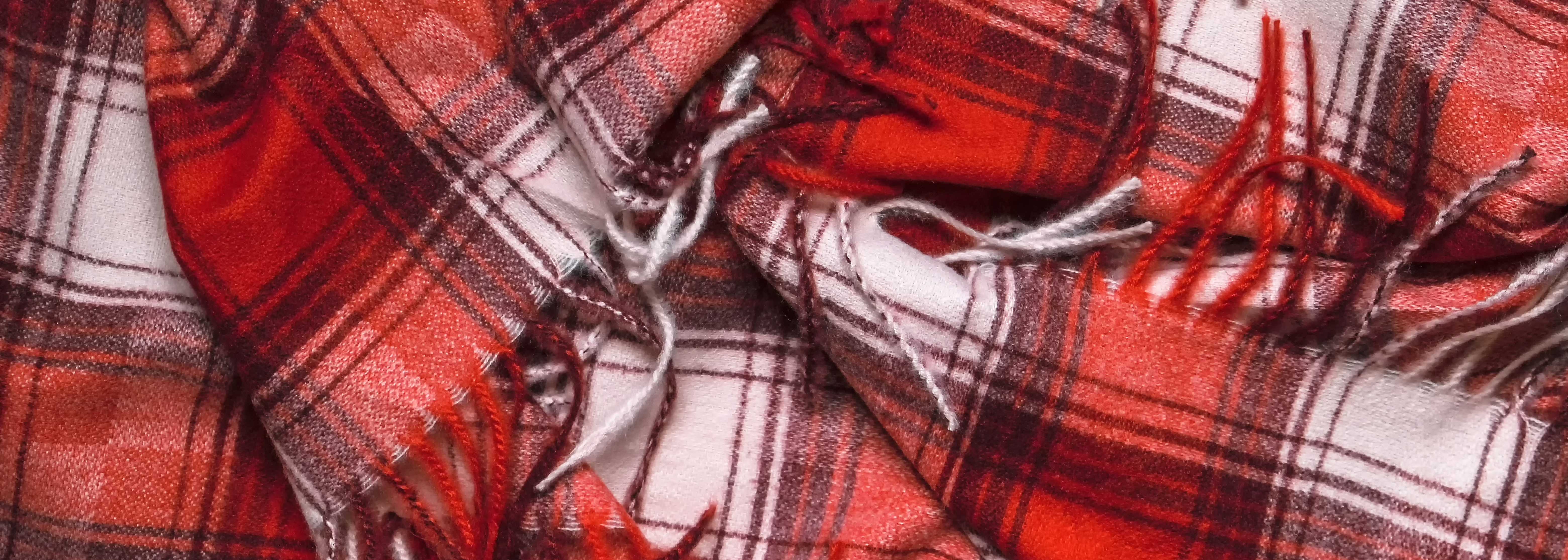 Flannel Fest